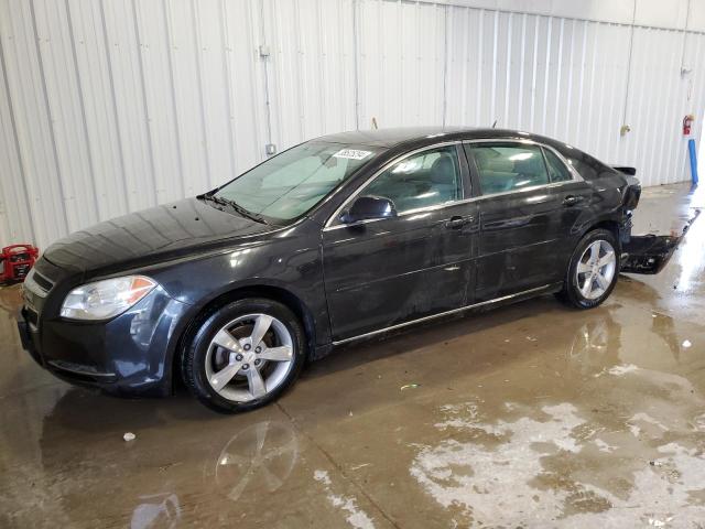 CHEVROLET MALIBU 1LT 2011 with VIN 1G1ZC5E14BF394544 - Photo from auction