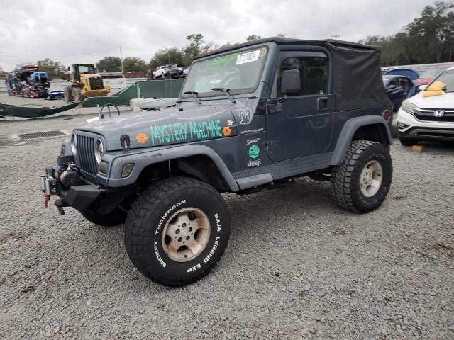 JEEP WRANGLER / 2002 with VIN 1J4FA49S32P722859 - Photo from auction