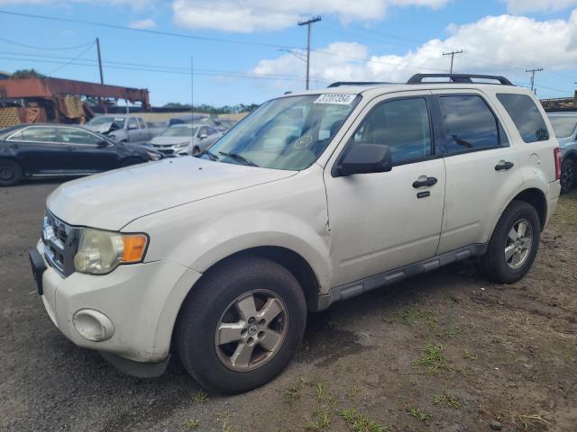 FORD ESCAPE XLT 2009 with VIN 1FMCU03G39KD06665 - Photo from auction