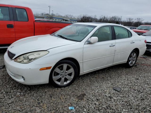 LEXUS ES 330 2005 with VIN JTHBA30G555062605 - Photo from auction