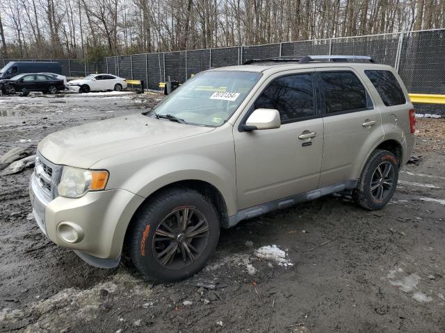 FORD ESCAPE 2010 with VIN 1FMCU0EG6AKC67927 - Photo from auction