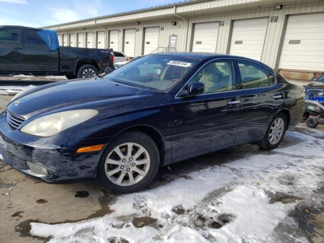LEXUS ES 330 2004 with VIN JTHBA30G545052686 - Photo from auction