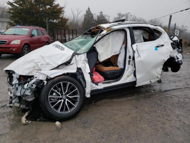 Photo 1 from auction – 2023 LEXUS NX 350 with VIN 2T2GGCEZ1PC029232