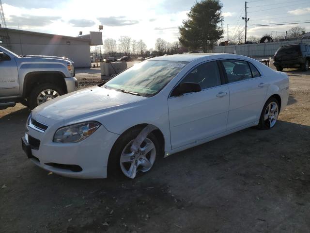 CHEVROLET MALIBU LS 2011 with VIN 1G1ZB5E14BF222498 - Photo from auction