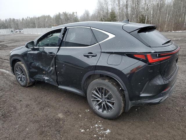 Photo 2 from auction – 2023 LEXUS NX 250 with VIN 2T2ADCEZ8PC003547