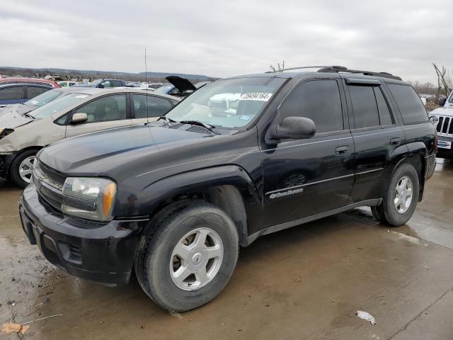 CHEVROLET TRAILBLAZE 2002 with VIN 1GNDT13S722376124 - Photo from auction
