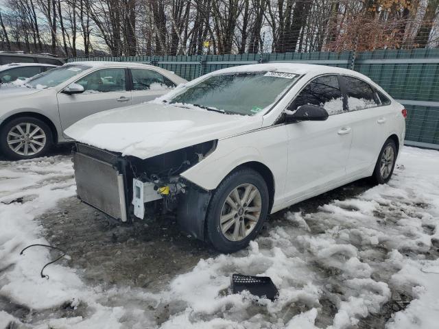 HYUNDAI SONATA SE 2016 with VIN 5NPE24AF4GH262479 - Photo from auction