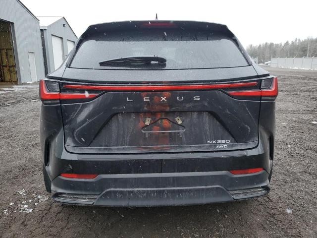 Photo 6 from auction – 2023 LEXUS NX 250 with VIN 2T2ADCEZ8PC003547