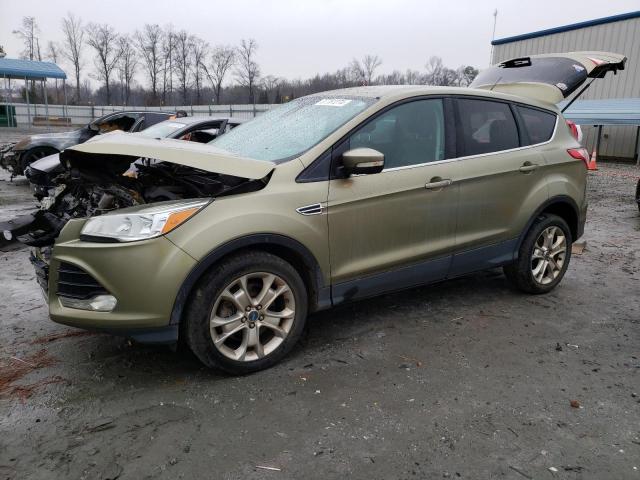 FORD ESCAPE SEL 2013 with VIN 1FMCU0H96DUA79480 - Photo from auction