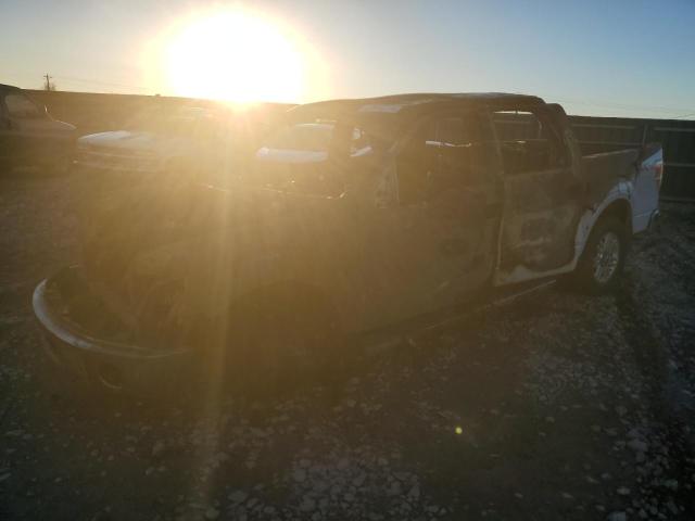 FORD F150 2011 with VIN 1FTFW1EF1BFB89608 - Photo from auction