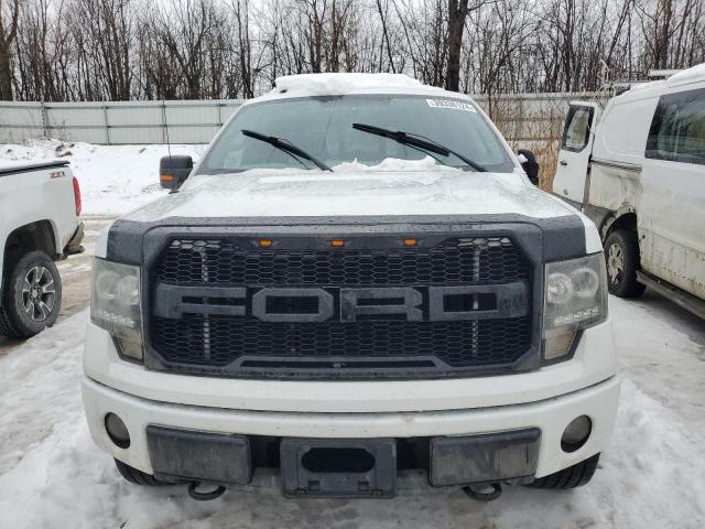 Photo 5 from auction – 2010 FORD F150 SUPER with VIN 1FTFW1EV9AFB33048