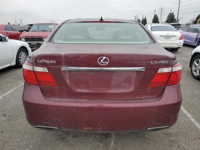 Photo 6 from auction – 2007 LEXUS LS 460 with VIN JTHBL46F075004872