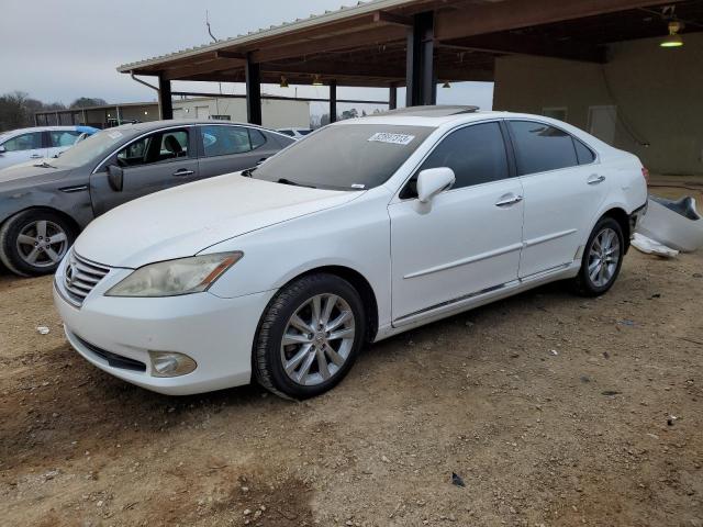 Zdjęcie 1 z aukcji – 2010 LEXUS ES 350 z VIN JTHBK1EG2A2368179