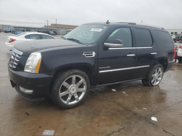 CADILLAC ESCALADE P 2010 with VIN 1GYUKCEF0AR214178 - Photo from auction