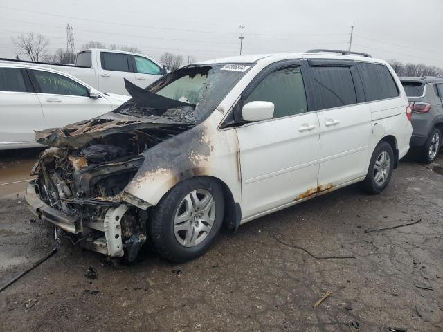 HONDA ODYSSEY EX 2005 with VIN 5FNRL38465B422368 - Photo from auction