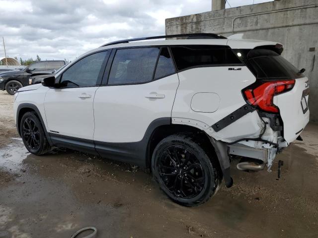 Photo 2 from auction – 2020 GMC TERRAIN SL with VIN 3GKALMEV4LL321641