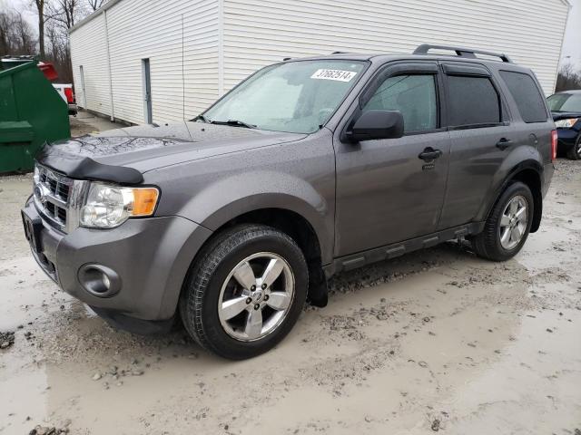 FORD ESCAPE XLT 2009 with VIN 1FMCU03G59KD05906 - Photo from auction