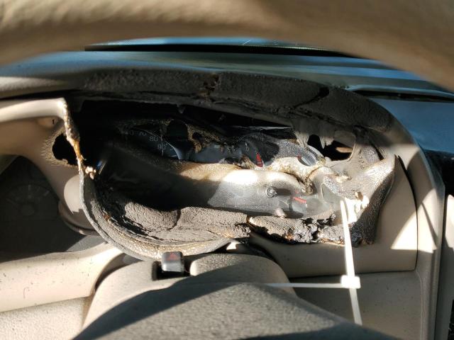 Photo 9 from auction – 2003 FORD MUSTANG with VIN 1FAFP44433F354919