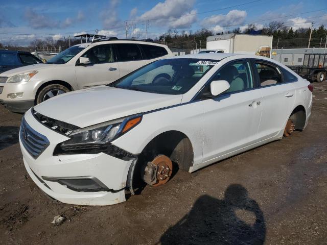 HYUNDAI SONATA SE 2016 with VIN 5NPE24AF6GH319765 - Photo from auction