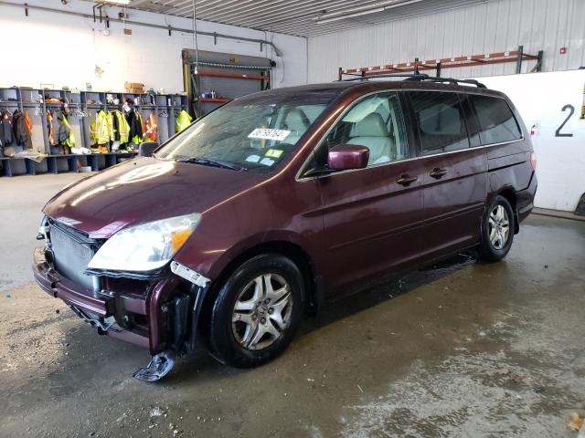 HONDA ODYSSEY EX 2007 with VIN 5FNRL38707B066903 - Photo from auction