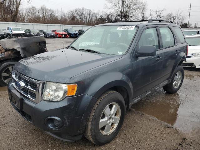 FORD ESCAPE XLS 2009 with VIN 1FMCU02779KA44926 - Photo from auction
