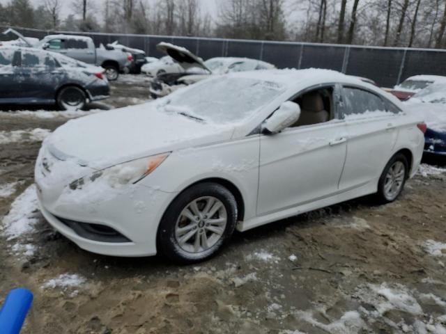 HYUNDAI SONATA GLS 2014 with VIN 5NPEB4AC9EH884093 - Photo from auction