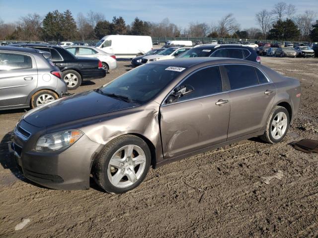 CHEVROLET MALIBU LS 2011 with VIN 1G1ZA5EU7BF362770 - Photo from auction