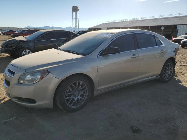 CHEVROLET MALIBU LS 2010 with VIN 1G1ZA5E01AF283073 - Photo from auction