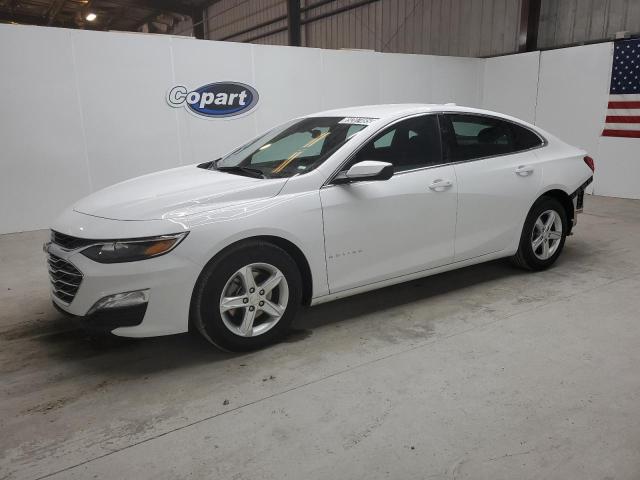 CHEVROLET MALIBU LT 2024 with VIN 1G1ZD5ST3RF194350 - Photo from auction