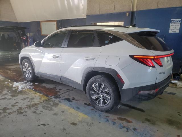 Photo 2 from auction – 2022 HYUNDAI TUCSON BLU with VIN KM8JBCA17NU030065