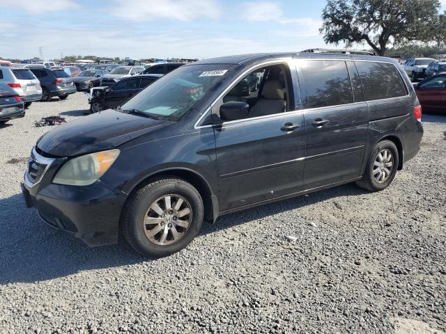 HONDA ODYSSEY EX 2008 with VIN 5FNRL38778B013424 - Photo from auction