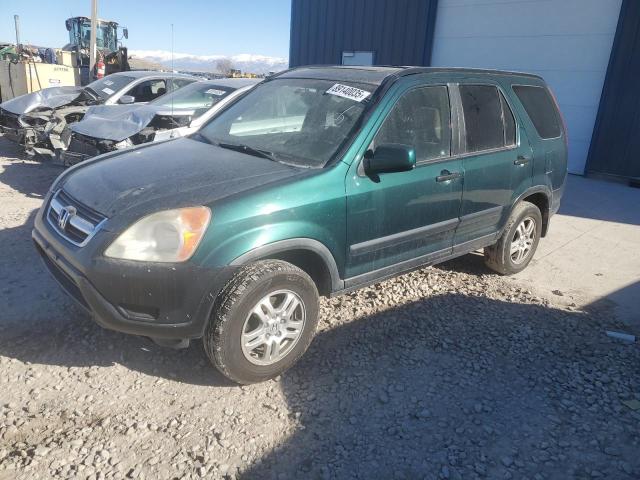HONDA CR-V EX 2004 with VIN JHLRD78884C033981 - Photo from auction