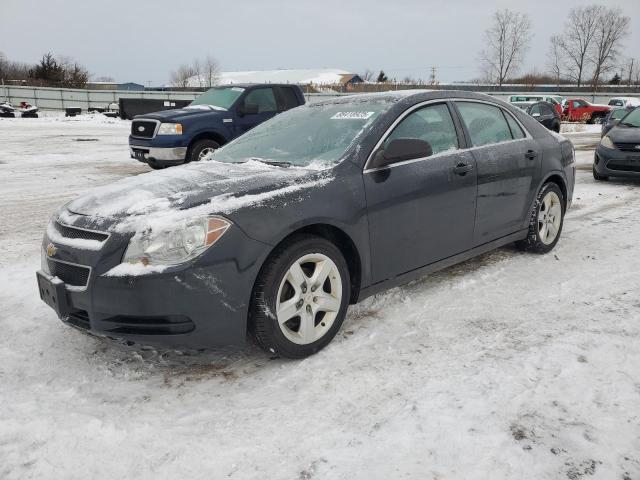 CHEVROLET MALIBU LS 2011 with VIN 1G1ZB5E13BF283485 - Photo from auction
