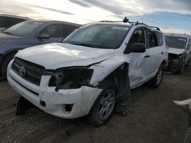 TOYOTA RAV4 2012 with VIN 2T3BF4DV4CW266691 - Photo from auction
