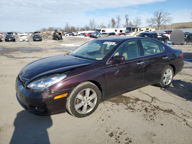 LEXUS ES 330 2005 with VIN JTHBA30G655091868 - Photo from auction