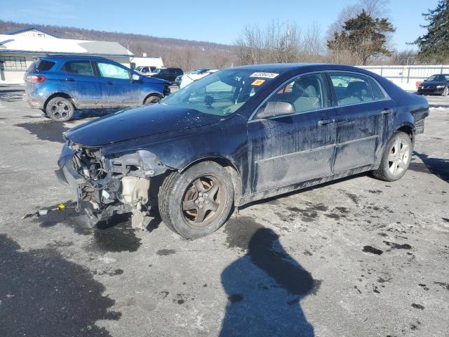 CHEVROLET MALIBU LS 2010 with VIN 1G1ZB5EB8A4136825 - Photo from auction