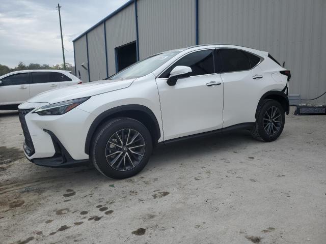 LEXUS NX 250 PRE 2024 with VIN 2T2GDCAZ3RC006908 - Photo from auction