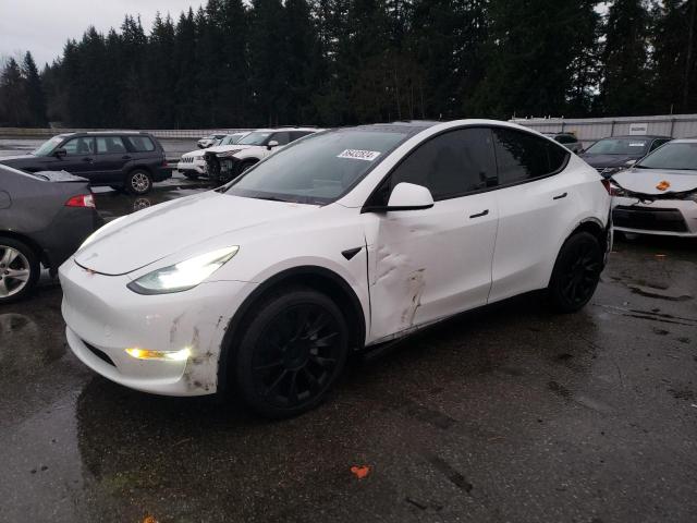 TESLA MODEL Y 2023 with VIN 7SAYGAEE4PF599993 - Photo from auction