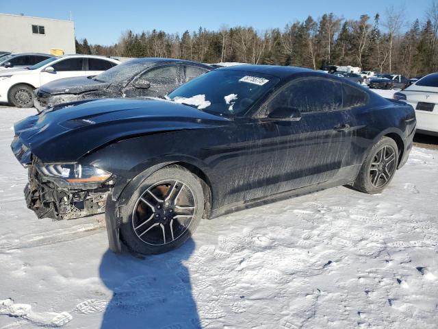 FORD MUSTANG 2019 with VIN 1FA6P8TH5K5197913 - Photo from auction