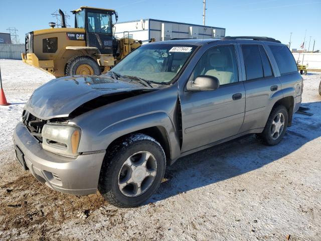 CHEVROLET TRAILBLAZE 2008 with VIN 1GNDT13S482174043 - Photo from auction