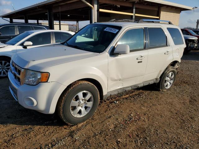 FORD ESCAPE LIM 2010 with VIN 1FMCU0EG1AKB89198 - Photo from auction