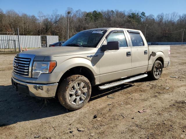 FORD F150 SUPER 2010 with VIN 1FTEW1C81AFC07121 - Photo from auction