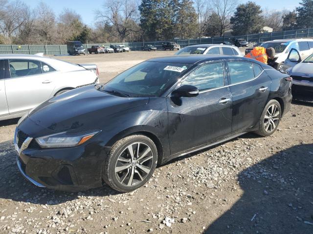 NISSAN MAXIMA SV 2021 with VIN 1N4AA6CV1MC506913 - Photo from auction