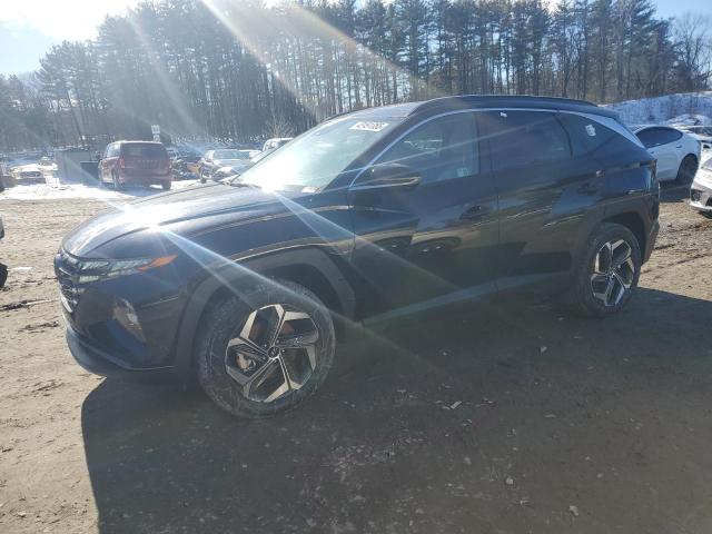 HYUNDAI TUCSON LIM 2024 with VIN 5NMJECDE0RH434509 - Photo from auction