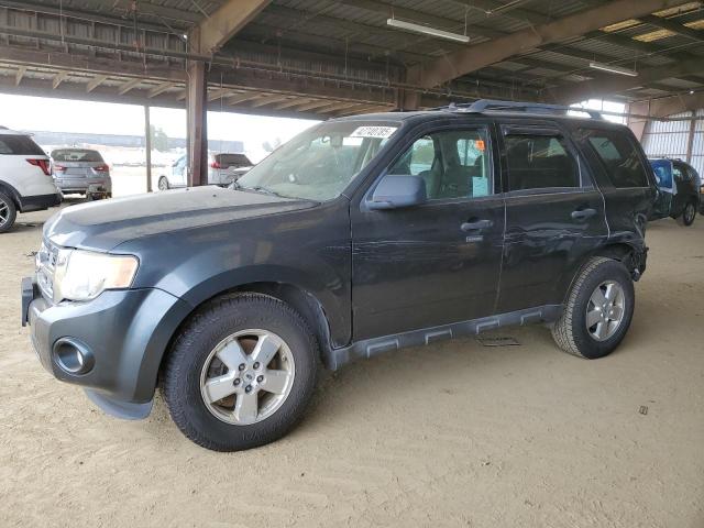 Photo 1 from auction – 2009 FORD ESCAPE XLT with VIN 1FMCU03729KC97473
