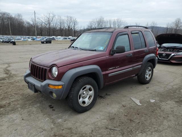 Photo 1 from auction – 2003 JEEP LIBERTY with VIN 1J4GL48K63W549829