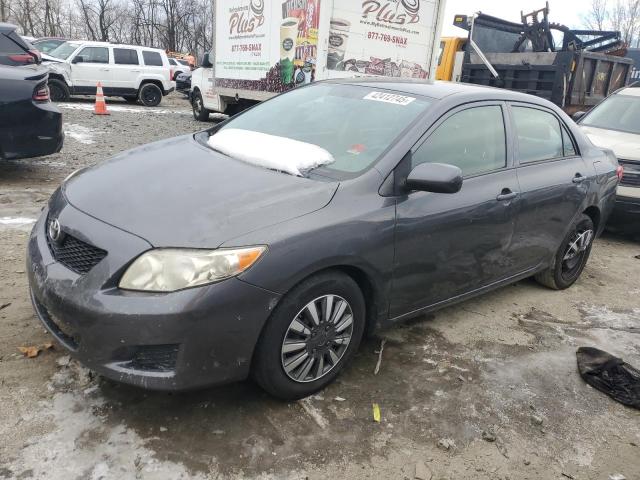 TOYOTA COROLLA BA 2010 with VIN 2T1BU4EE4AC331356 - Photo from auction