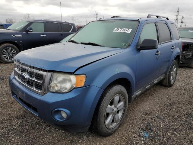 FORD ESCAPE XLT 2010 with VIN 1FMCU0DG2AKB53991 - Photo from auction