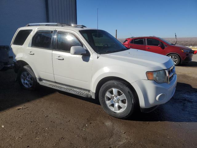 Photo 4 from auction – 2010 FORD ESCAPE LIM with VIN 1FMCU0EG2AKD45409