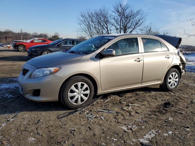 TOYOTA COROLLA BA 2010 with VIN 1NXBU4EE7AZ172654 - Photo from auction